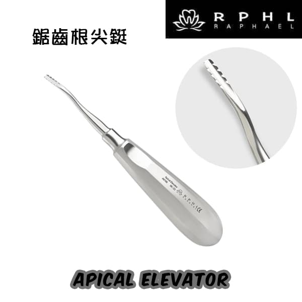 鋸齒根尖鋌 Apical Elevator